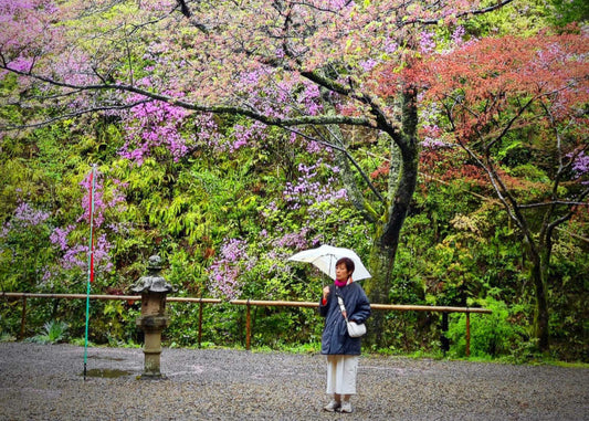 A Journey of Eternal Love (1)