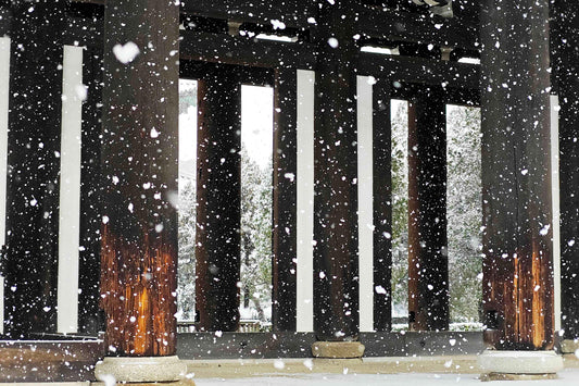 7 Planets Alignment KYOTO snowing