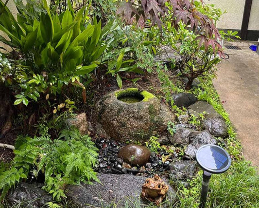 Romancing with My Garden