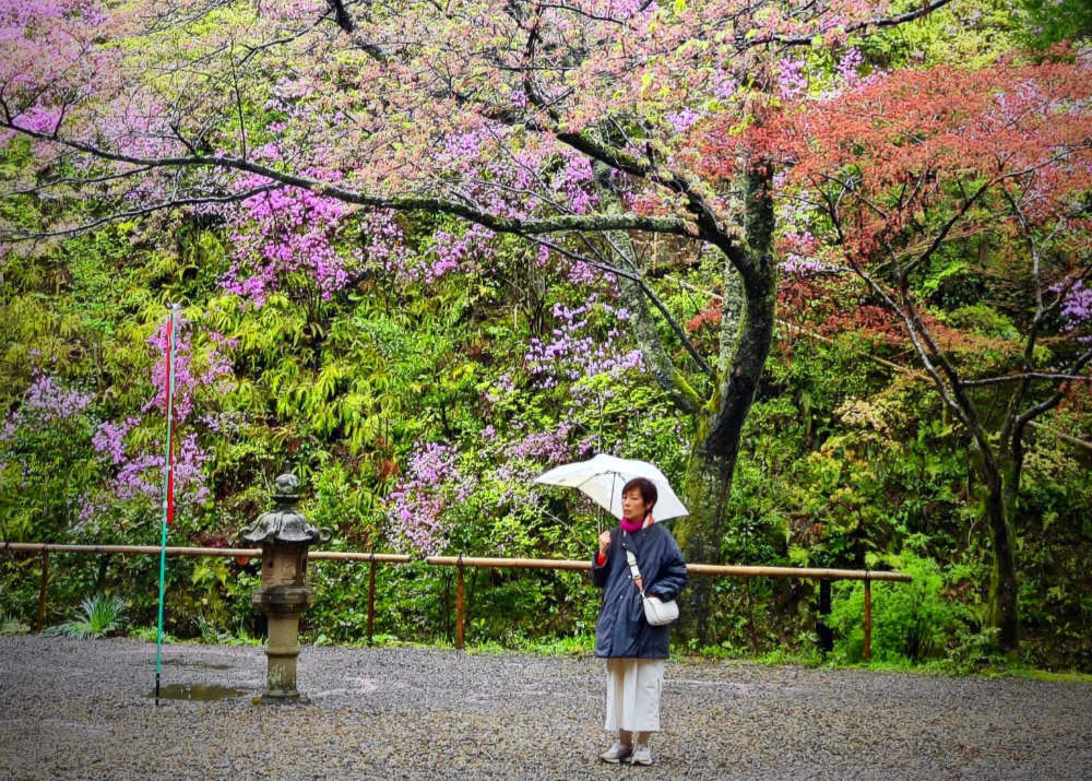 A Journey of Eternal Love (1)