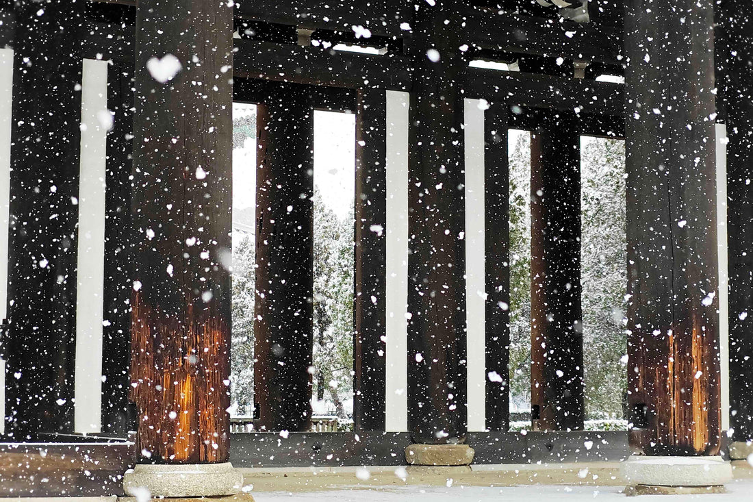 7 Planets Alignment KYOTO snowing