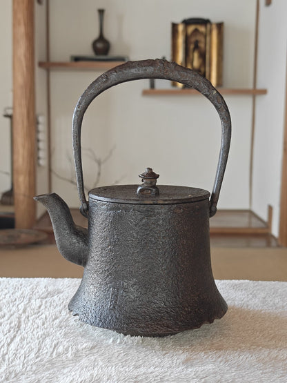 Plum Blossom Iron Tea Kettle by Nanbu Koueido